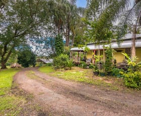 Rural / Farming commercial property for sale at 252 Warby Road Jiggi NSW 2480