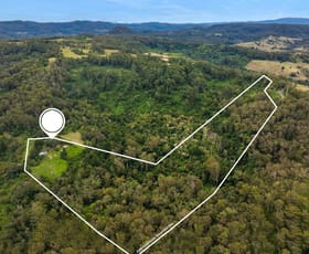 Rural / Farming commercial property for sale at 252 Warby Road Jiggi NSW 2480