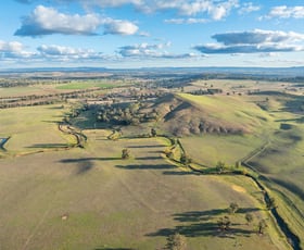 Rural / Farming commercial property for sale at 14 Packs Grant Road Cowra NSW 2794