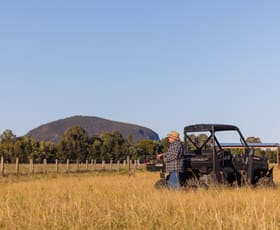 Rural / Farming commercial property for sale at Valdora QLD 4561