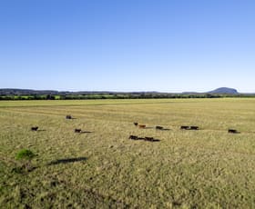 Rural / Farming commercial property for sale at 54-64 Dynes Road Valdora QLD 4561