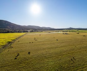 Rural / Farming commercial property for sale at 54-64 Dynes Road Valdora QLD 4561