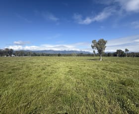 Rural / Farming commercial property for sale at Ellerbeck QLD 4816