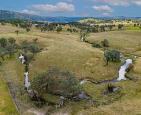 Rural / Farming commercial property for sale at Hazeldean Road Walcha NSW 2354