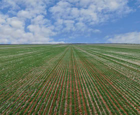 Rural / Farming commercial property for sale at 2423 Petro Mail Road Arumpo NSW 2715