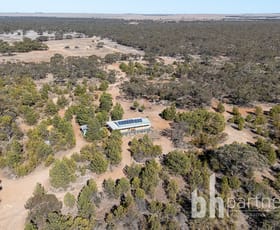 Rural / Farming commercial property for sale at 648 Goondooloo Road Bowhill SA 5238 Rural / Farming commercial property for sale at 648 Goondooloo Road Bowhill SA 5238