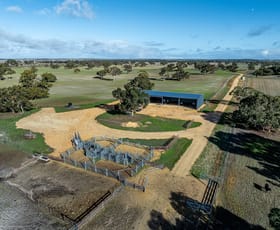 Rural / Farming commercial property for sale at 1911 Cadgee Road Naracoorte SA 5271