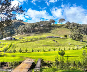 Rural / Farming commercial property for sale at 879 Duncans Creek Road Tamworth NSW 2340
