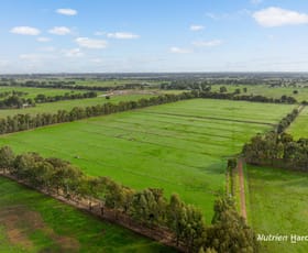 Rural / Farming commercial property for sale at 340 Waterloo Road Paradise WA 6236