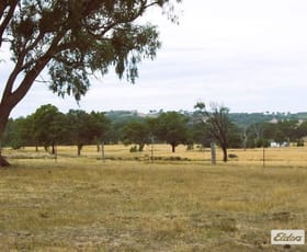 Rural / Farming commercial property for sale at Lot 4 Reilly Drive Elphinstone VIC 3448