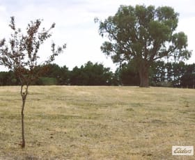 Rural / Farming commercial property for sale at Lot 4 Reilly Drive Elphinstone VIC 3448