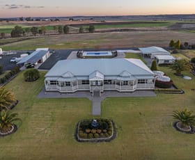 Rural / Farming commercial property for sale at 12111 Warrego Highway Oakey QLD 4401