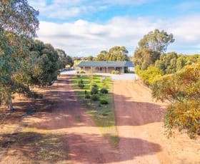 Rural / Farming commercial property for sale at 1510 Lincoln Highway Poonindie SA 5607