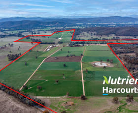 Rural / Farming commercial property for sale at 301 Boggy Creek Road Moyhu VIC 3732