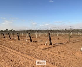 Rural / Farming commercial property for sale at 178 Arumpo Road Mourquong NSW 2739