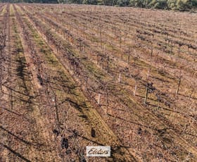 Rural / Farming commercial property for sale at 178 Arumpo Road Mourquong NSW 2739