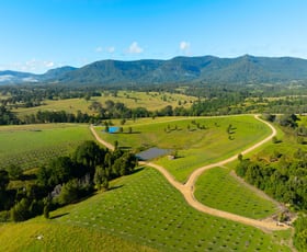 Rural / Farming commercial property for sale at 98 Doon Doon Road Kunghur NSW 2484