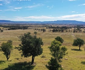 Rural / Farming commercial property for sale at Come-By-Chance Injune QLD 4454