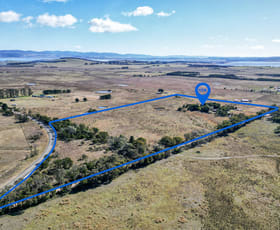 Rural / Farming commercial property for sale at 41 Leahys Lane Tarago NSW 2580