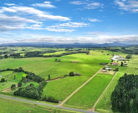 Rural / Farming commercial property for sale at 476 Russell Road North Johnstone QLD 4885