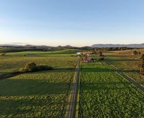 Rural / Farming commercial property for sale at 476 Russell Road North Johnstone QLD 4885