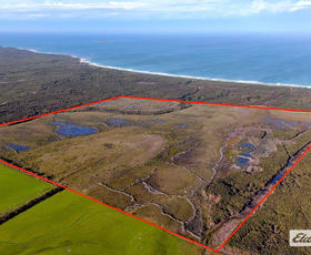 Rural / Farming commercial property for sale at Sea Elephant Road Sea Elephant TAS 7256