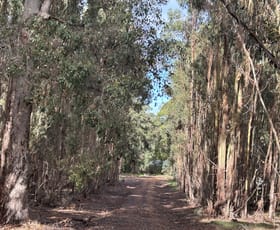 Rural / Farming commercial property for sale at 3 Bramley River Road Osmington WA 6285