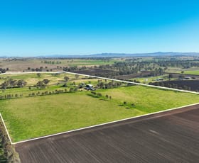 Rural / Farming commercial property for sale at 109 Reilleys Road Tamworth NSW 2340