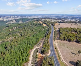 Rural / Farming commercial property for sale at Coalfields Road Roelands WA 6226