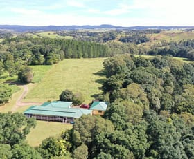 Rural / Farming commercial property for sale at 105 Mahoney Road Minbun QLD 4886