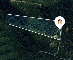 Rural / Farming commercial property for sale at 65 Neagle Road Wolffdene QLD 4207