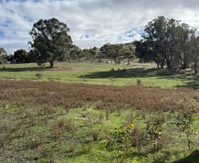 Rural / Farming commercial property for sale at 1872 Spencers Brook Road Mokine WA 6401