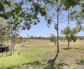 Rural / Farming commercial property for sale at 1325A Gin Gin Mount Perry Road Moolboolaman QLD 4671