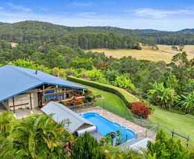 Rural / Farming commercial property for sale at 1742 Wooli Road Pillar Valley NSW 2462
