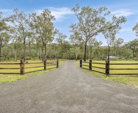 Rural / Farming commercial property for sale at 1540 Clarence Way Whiteman Creek NSW 2460
