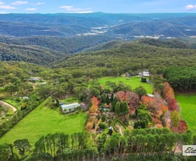 Rural / Farming commercial property for sale at 234 Forest Road Kulnura NSW 2250