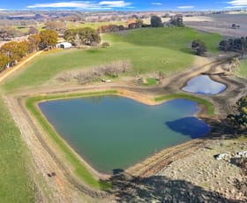 Rural / Farming commercial property for sale at Young NSW 2594