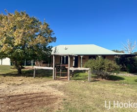 Rural / Farming commercial property sold at 1263 Copeton Dam Road Gum Flat NSW 2360