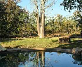 Rural / Farming commercial property for sale at 729 Reebeds Road Darwin River NT 0841