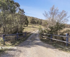 Rural / Farming commercial property for sale at 288 Mount Baw Baw Road Goulburn NSW 2580
