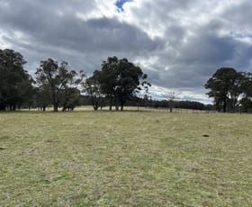 Rural / Farming commercial property for sale at # Coopers Road Red Range NSW 2370