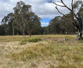 Rural / Farming commercial property for sale at * Coopers Road Red Range NSW 2370