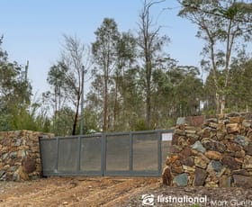 Rural / Farming commercial property for sale at 188 Pauls Lane Dixons Creek VIC 3775
