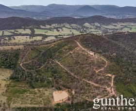 Rural / Farming commercial property for sale at 188 Pauls Lane Dixons Creek VIC 3775