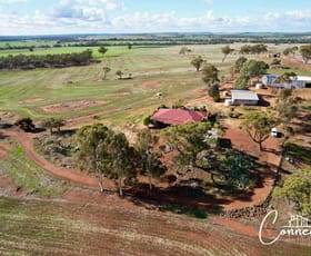 Rural / Farming commercial property for sale at Haddrill Road Jennapullin WA 6401