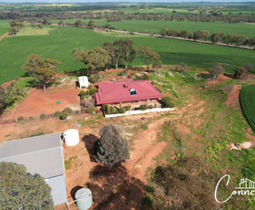 Rural / Farming commercial property for sale at Haddrill Road Jennapullin WA 6401