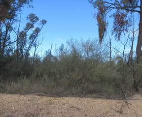 Rural / Farming commercial property for sale at #24 Arnolds Road Tara QLD 4421