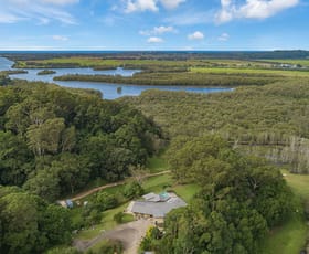 Rural / Farming commercial property for sale at 165 McAuleys Road Terranora NSW 2486