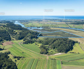 Rural / Farming commercial property for sale at 165 McAuleys Road Terranora NSW 2486