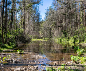 Rural / Farming commercial property for sale at 1584 Nulla Nulla Creek Road Bellbrook NSW 2440